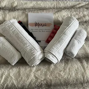 Luxueux Au Coeur De Appartement